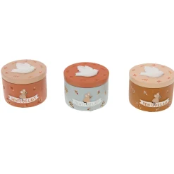 Amadeus                    Boîte à dent Coquillage    Gris Orange et Marron