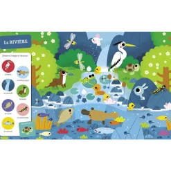 Auzou                    Tous à l'eau !    Multicolore