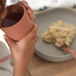 Béaba                    Coffret Repas Silicone 4 pièces    Terracota