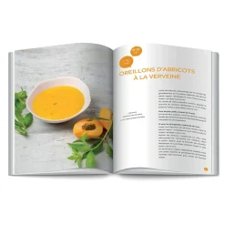 Béaba                    Livre Mes premiers repas Babycook