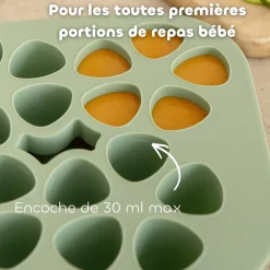 Béaba                    Mini Multiportions Silicone    Vert sauge             20x35 ml