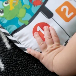 Baby Einstein Clavier musical à suspendre Neptune la Tortue Multicolore