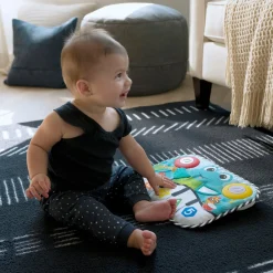Baby Einstein Clavier musical à suspendre Neptune la Tortue Multicolore