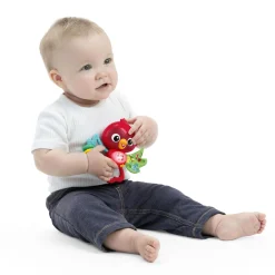 Baby Einstein                    Jouet Musical Roxy l'oiseau    Rouge