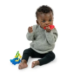 Baby Einstein                    Set 4 anneaux de dentition Cool Critters    Multicolore