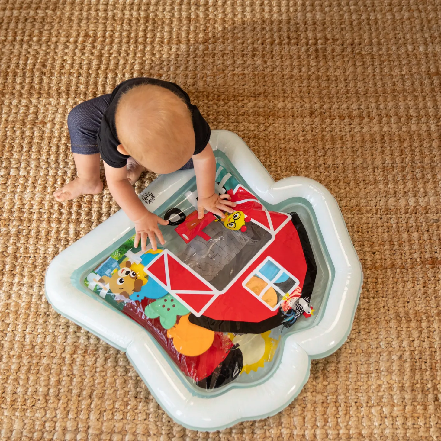 Baby Einstein Tapis d'eau Ferme animaux Multicolore