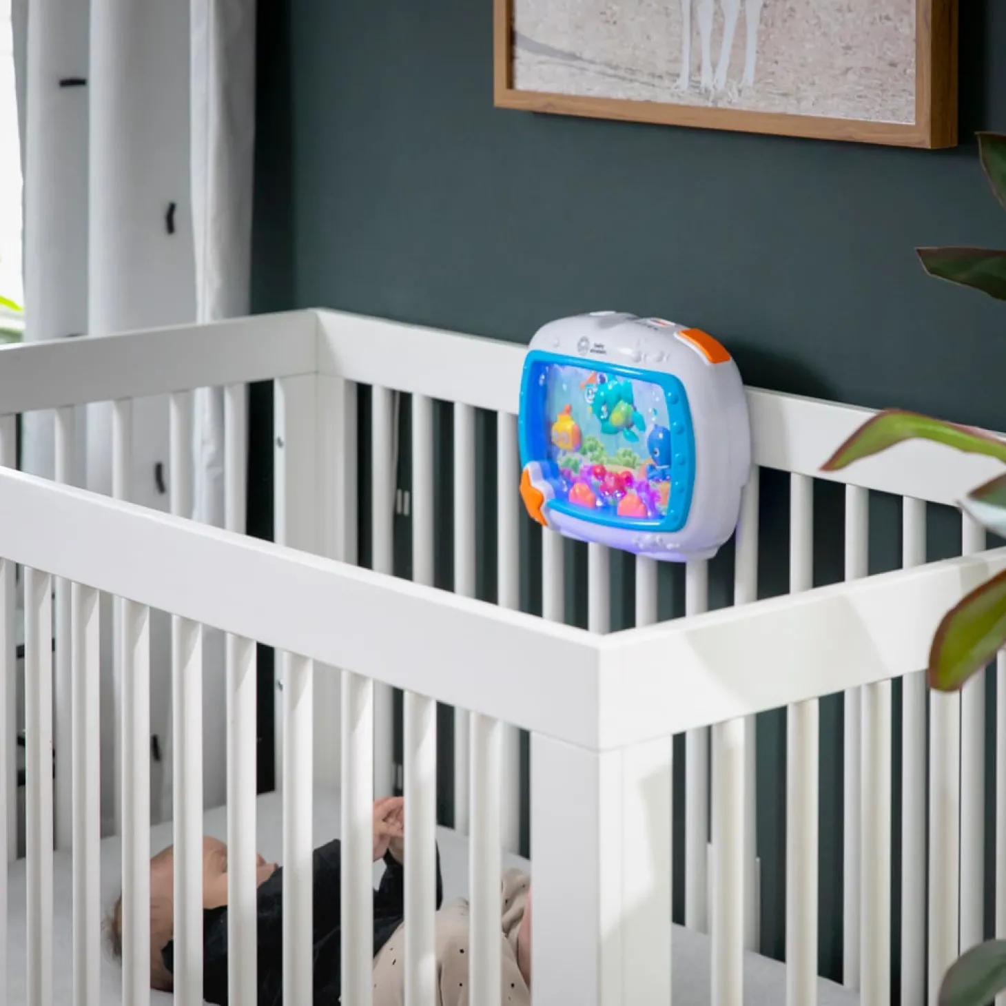 Baby Einstein Veilleuse Sea Dreams Soother Multicolore