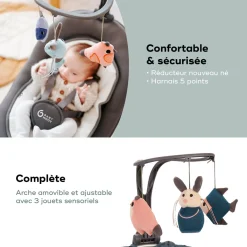 Babymoov                    Balancelle Swoon Motion    Gris