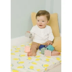 BabyToLove Mes premiers cubes éducatifs