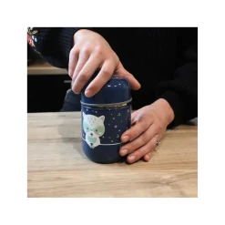 BBlüv                    Pot repas isotherme avec cuillère    Navy