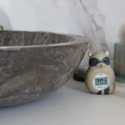 BBlüv                    Thermomètre de bain Rakü    Grey