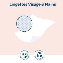 Biolane Lingettes visage et mains Multicolore