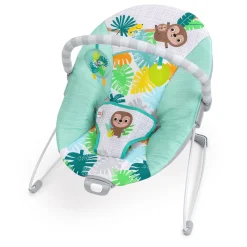 Bright Starts                    Transat avec vibrations Wild Wonders    Sarcelle
