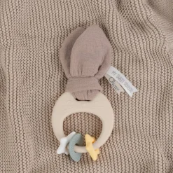 Chicco                    Anneau de Dentition souple Lapin    Multicolore