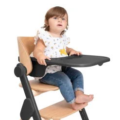 Chicco                    Chaise Haute Meraviglia    Ebony