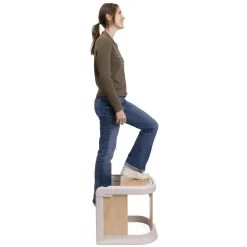 Chicco MERAVIGLIA Solution 4en1 Evolutive Fossil