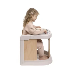 Chicco MERAVIGLIA Solution 4en1 Evolutive Fossil
