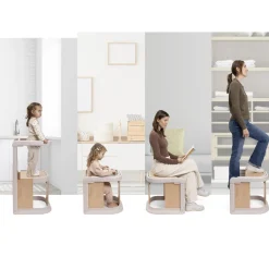 Chicco MERAVIGLIA Solution 4en1 Evolutive Fossil