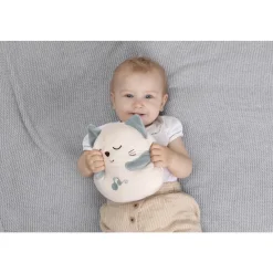 Chicco                    Peluche Chaton    gris