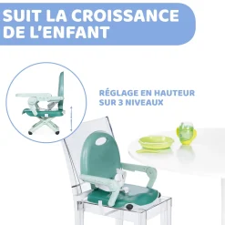 Chicco                    Rehausseur Pocket Snack    Sage