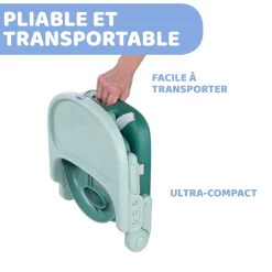 Chicco                    Rehausseur Pocket Snack    Sage