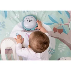 Chicco Tapis d'éveil Hibou 2 en 1 Multicolore