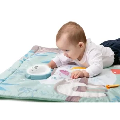 Chicco                    Tapis d'éveil Hibou 2 en 1    Multicolore