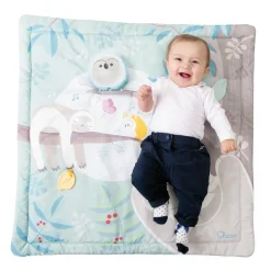 Chicco                    Tapis d'éveil Hibou 2 en 1    Multicolore