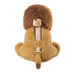 Cloud b                    Louis Lion Smart Sensor™    Ochre