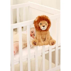 Cloud b                    Louis Lion Smart Sensor™    Ochre