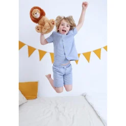 Cloud b                    Louis Lion Smart Sensor™    Ochre