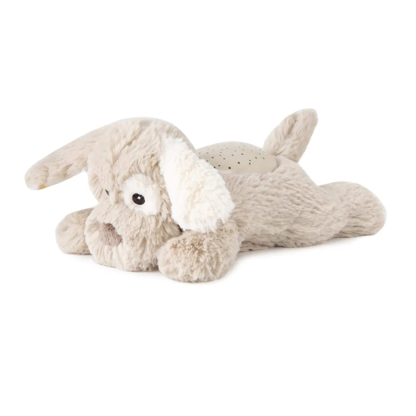 Cloud b Peluche veilleuse à projections étoilées Dream Buddies Patch Puppy Beige