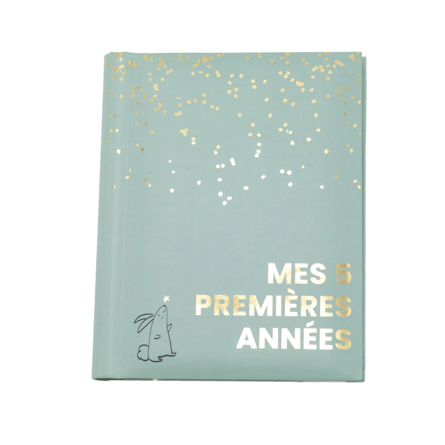 Domiva Mon livre de naissance mes 5 premieres années Sauge Gold