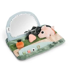 Done by Deer Miroir d'éveil Tummy time Tiny farm Multicolore