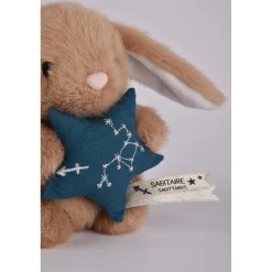 Doudou & Compagnie                    Doudou Astro    Sagittaire            Naissance +