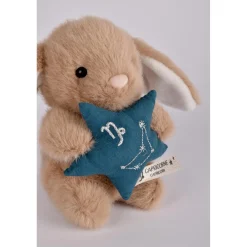 Doudou & Compagnie                    Doudou Astro    Capricorne            Naissance +