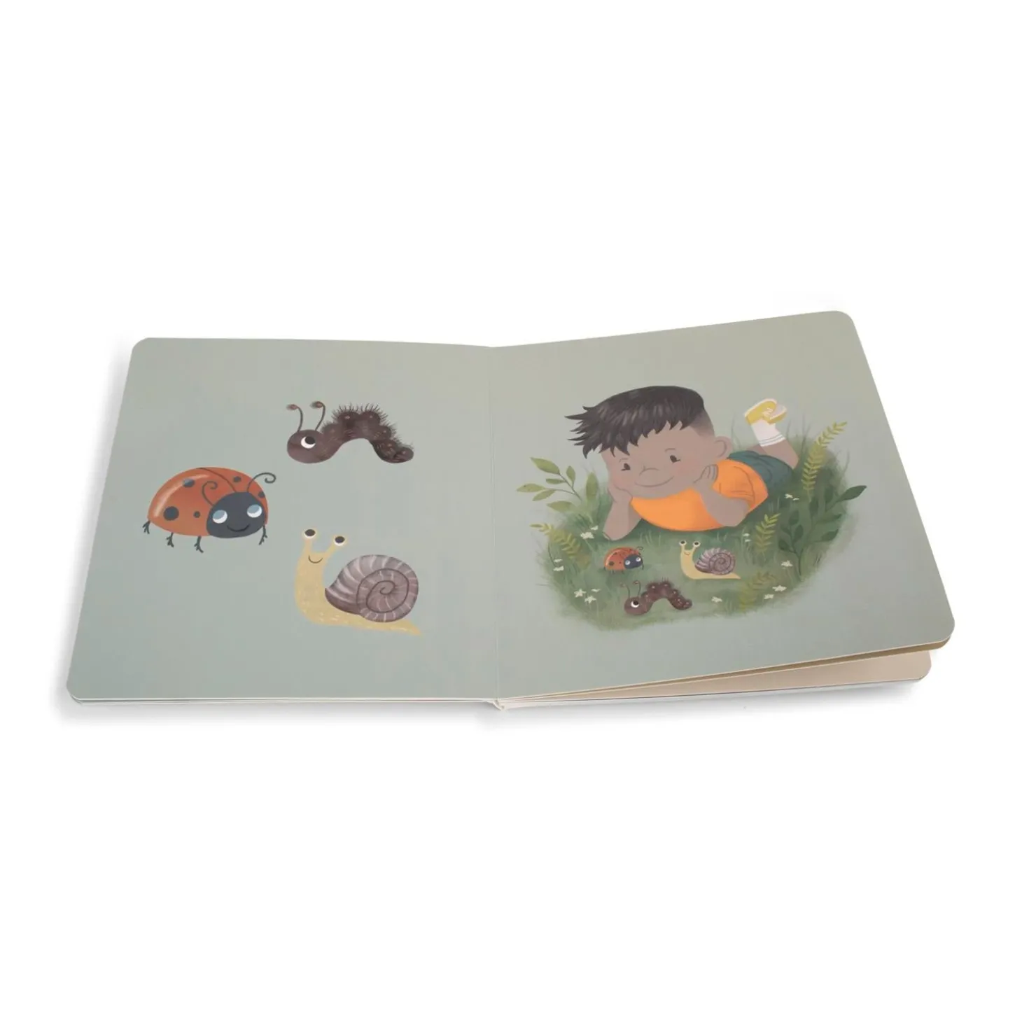 Filibabba Livre pour bébé La forêt Multicolore