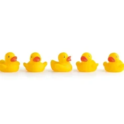 Formula Baby                    Canards de bain x5