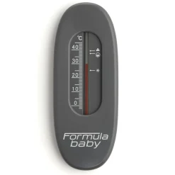Formula Baby                    Thermomètre de bain    Gris