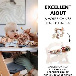 Hauck                    Anneau Sensoriel Play Catching S    Fox