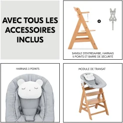 Hauck Chaise haute avec siège nouveau-né Alpha Newborn Set Pre Nature Grey