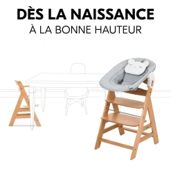 Hauck Chaise haute avec siège nouveau-né Alpha Newborn Set Pre Nature Grey