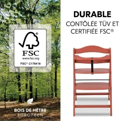 Hauck                    Chaise Haute En Bois Alpha+    Cork
