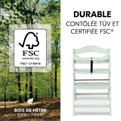 Hauck                    Chaise Haute En Bois Alpha+    Mint