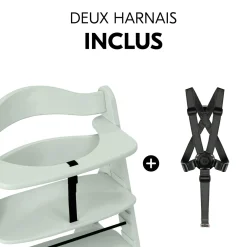 Hauck                    Chaise Haute En Bois Alpha+    Mint