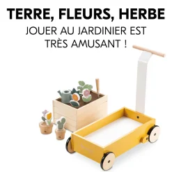 Hauck Chariot de marche Learn To Walk Plants