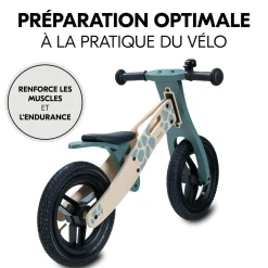 Hauck                    Draisienne Balance N Ride    Turtle
