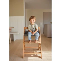 Hauck                    Réducteur de siège pour chaise haute bébé    Dark Grey
