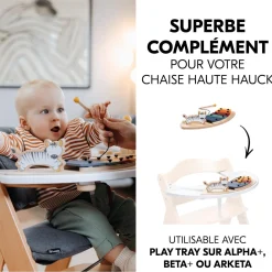 Hauck                    Table D'activité Musicale Play Music    Zebra