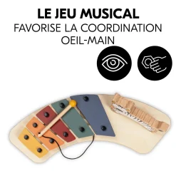 Hauck Table D'activité Musicale Play Music Zebra